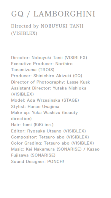 visiblex_sp_01